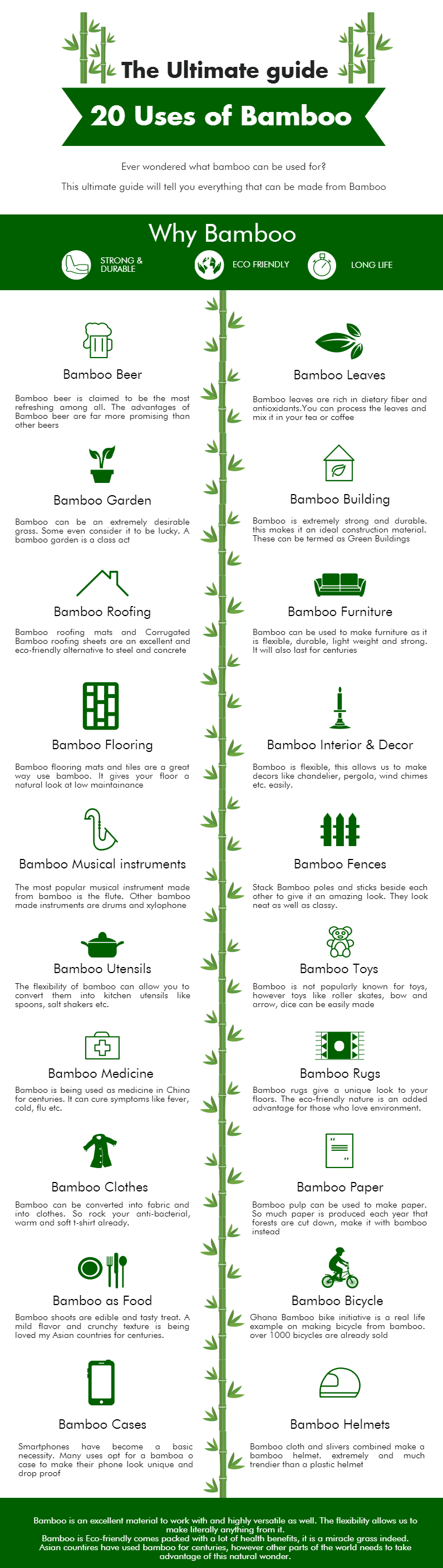 Uses of Bamboo Infographic by Bamboooz