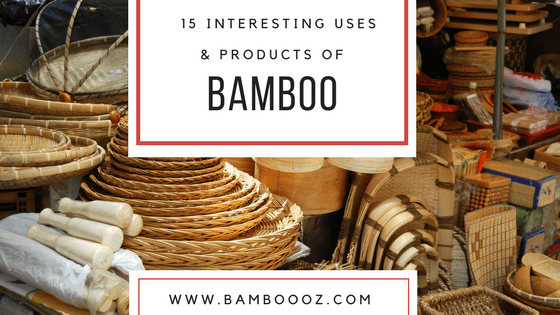 15 interesting uses and products of bamboo - Bambooz