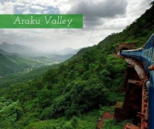 Araku Valley - Bamboooz