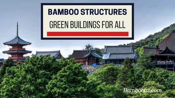 Bamboo structures: affordable green buildings for all