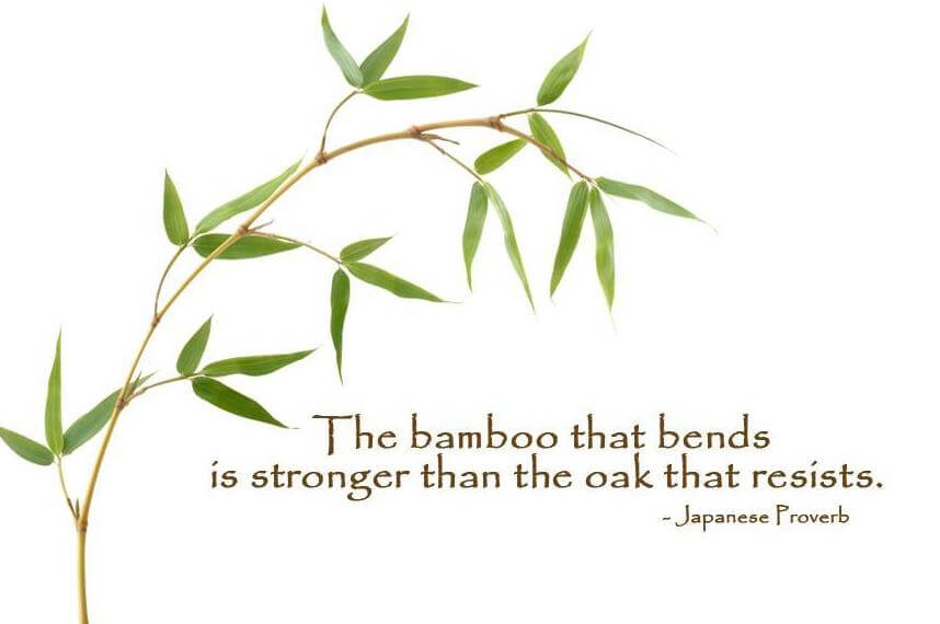 Japanese proverb - Bamboo Quotes - Bamboooz
