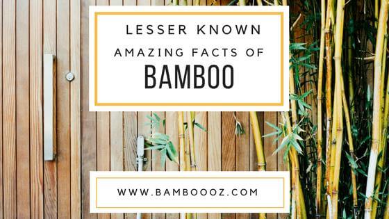 Lesser Known amazing facts of Bamboo - Bamboooz